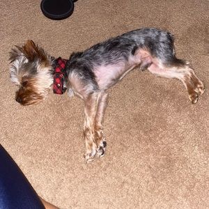 Meet your Posher, Kara